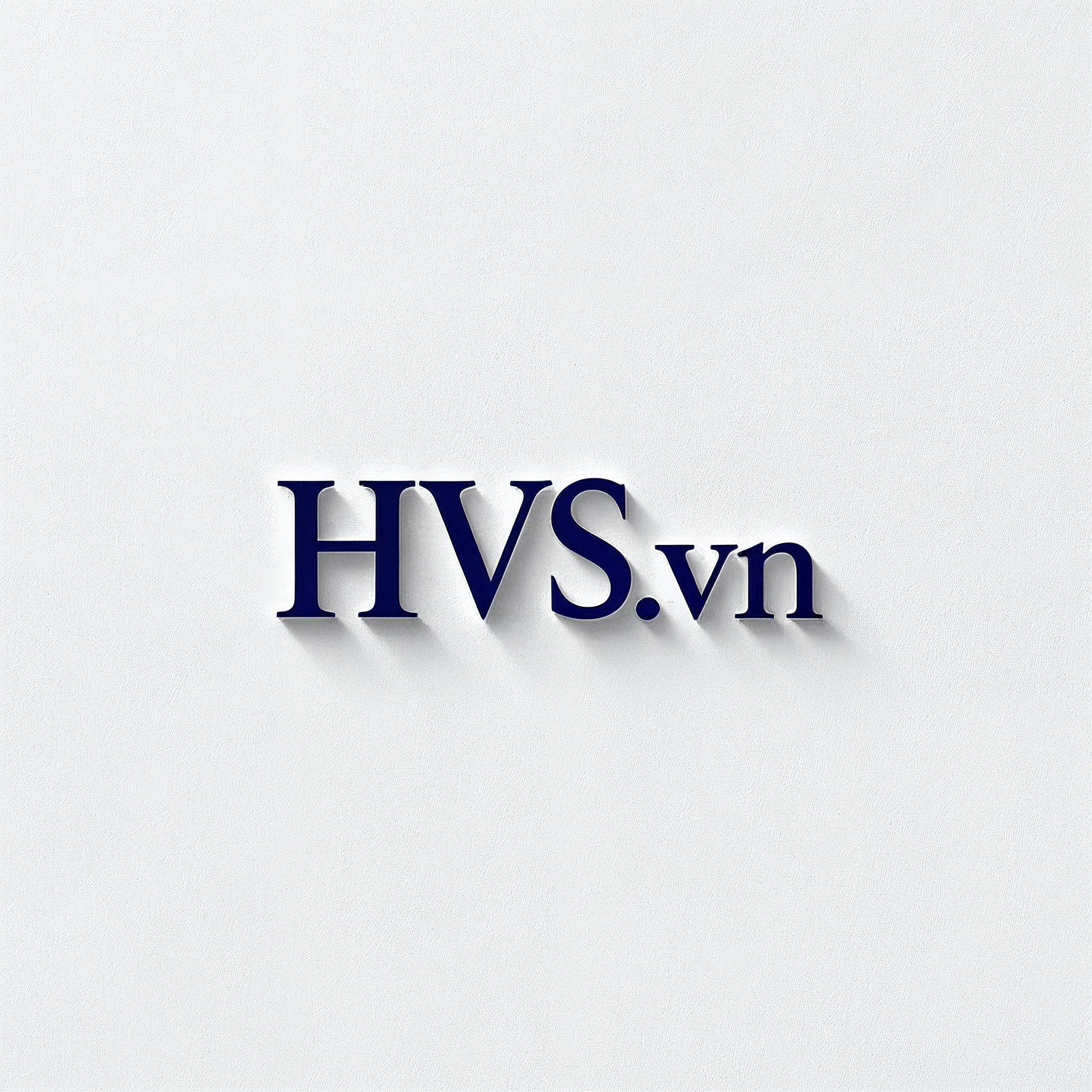 HVS - Đối tác đầu tư tin cậy